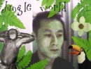 酒哥